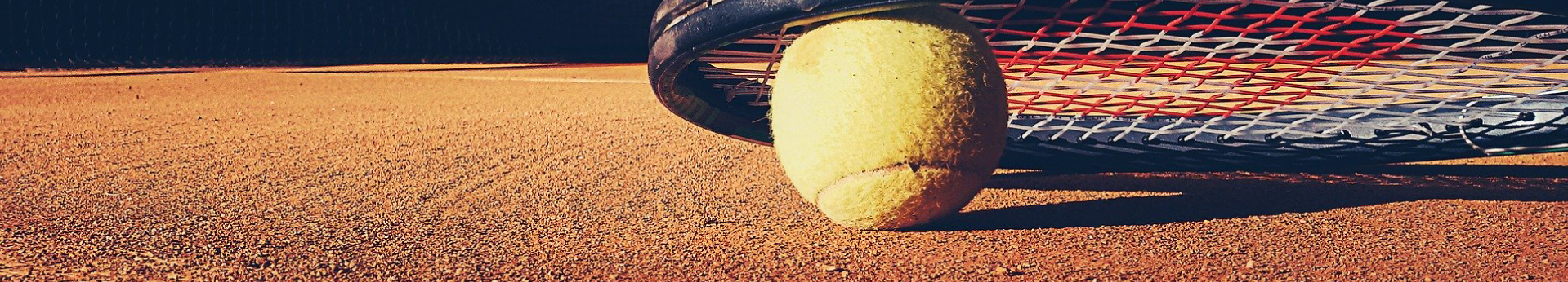 assets/tennis-netzwerk-startseitenbanner.jpg